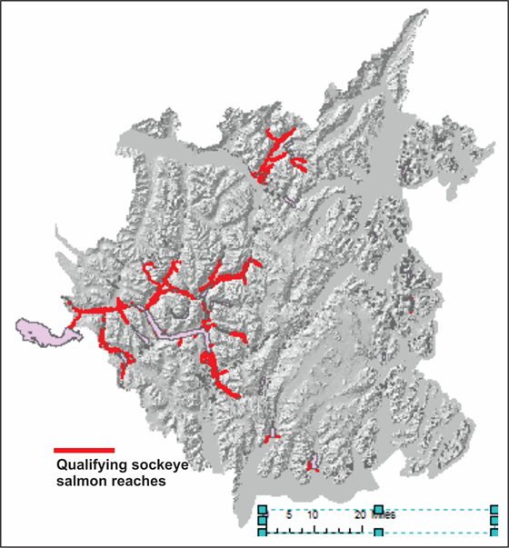Topic Sockeye salmon IP